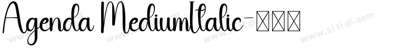 Agenda MediumItalic字体转换